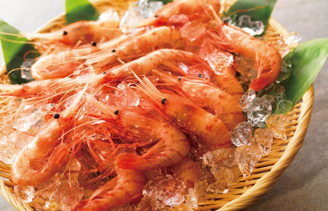 A variety of dishes crafted with the freshest ingredients from Hokkaido